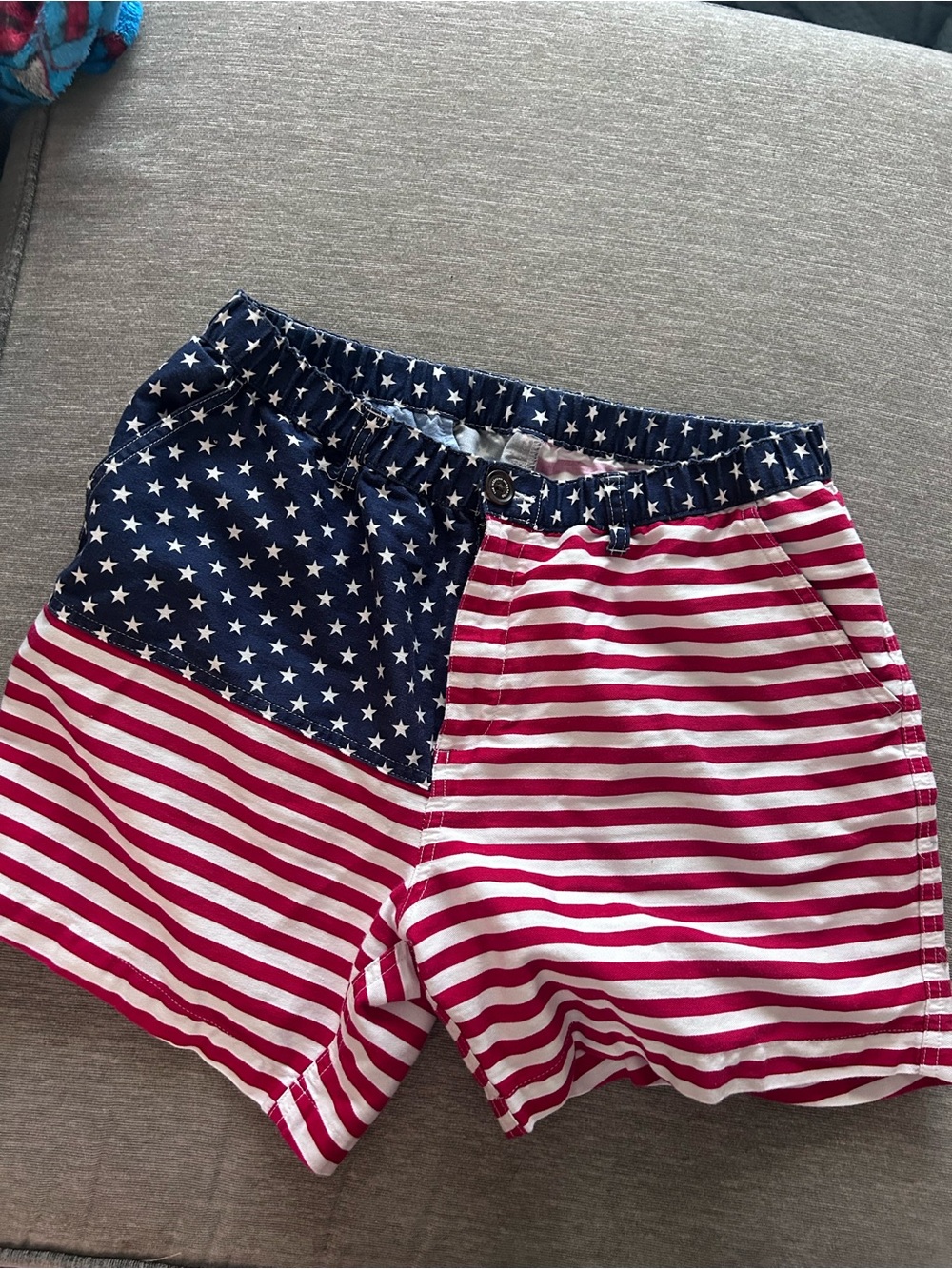 Large Chubbies Patriotic shorts